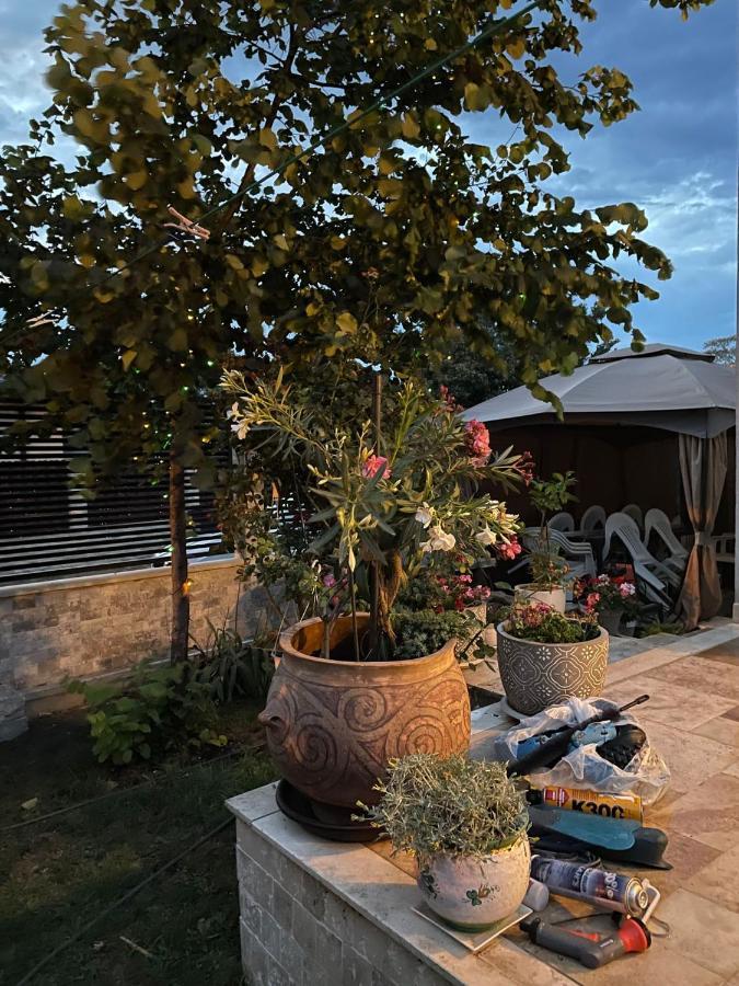 Casa Adriana Ξενοδοχείο Eforie Sud  Εξωτερικό φωτογραφία